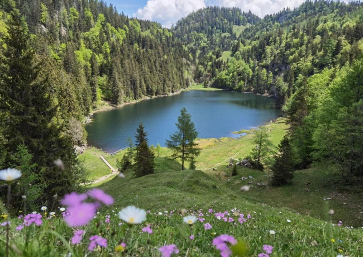 Haus Am Achengrund Daire Kössen Dış mekan fotoğraf